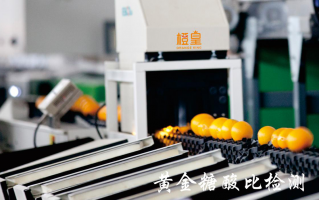 橙皇科技有限公司 知乎 文化根脉与现代科技碰撞出青春未来——在海峡论坛看见两岸青年的“融合方程式”