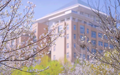 武汉科技大学的材料 武汉科技大学团队让水稻生出半导体材料